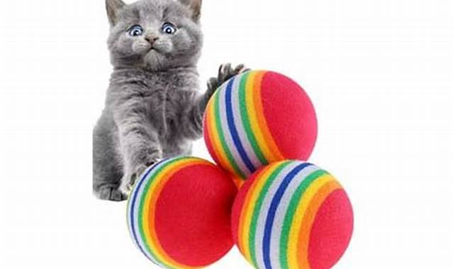 Aktivitas dan Mainan untuk Kucing Angora